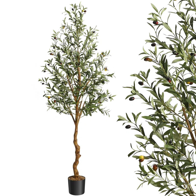 72'' Faux Olive Tree Tree in Pot | Wayfair North America