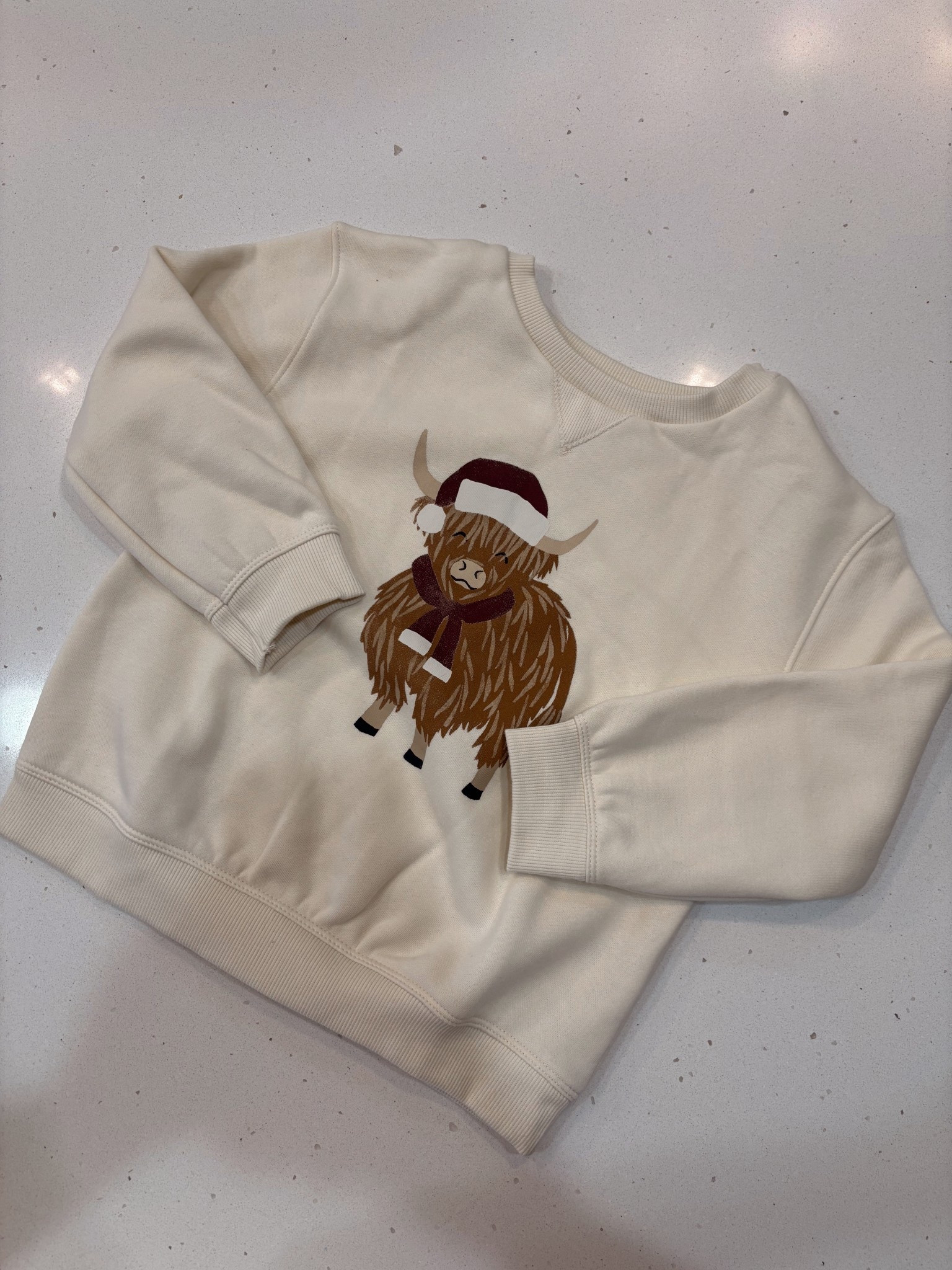 Christmas graphic sweatshirt on sale! Only $13 right now. Sized up one for an oversized fit for Charlotte 

#LTKSaleAlert #LTKHoliday