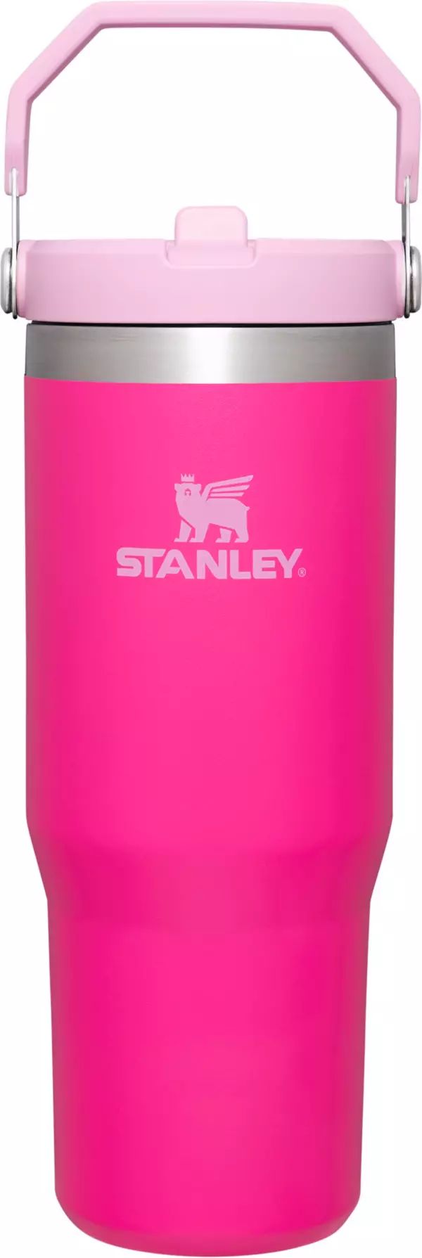 Stanley 30 Oz. IceFlow Tumbler with Flip Straw | Holiday 2023 at DICK'S | Dick's Sporting Goods