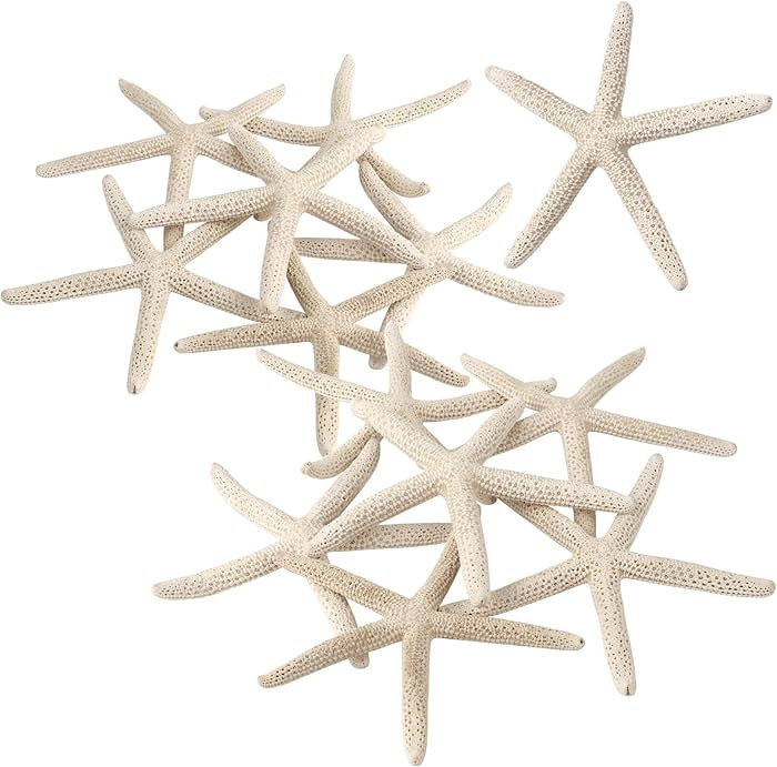 12 PCS Natural Starfish 4-5" for Crafts Making Beach Theme Party Wedding Decoration, Home Wall De... | Amazon (US)