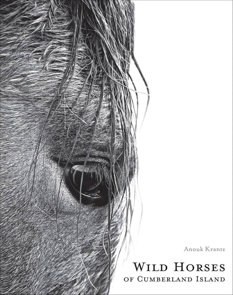 Wild Horses of Cumberland Island | Amazon (US)