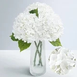 Lyacmy 3 Pcs Real Touch Hydrangea Artificial Flowers, 21" White Fake Latex Hydrangea with Stems L... | Walmart (US)