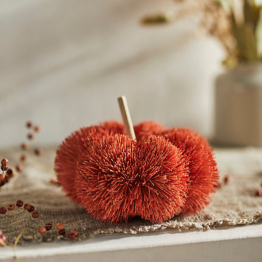 Brush Pumpkin, Large | Terrain