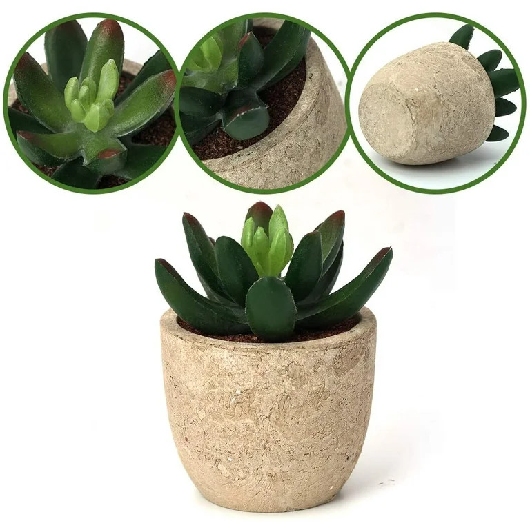 Artificial Succulent Plants, Plutput 5 Fake Succulents Faux Succulent Potted Cactus Cacti Plant w... | Walmart (US)