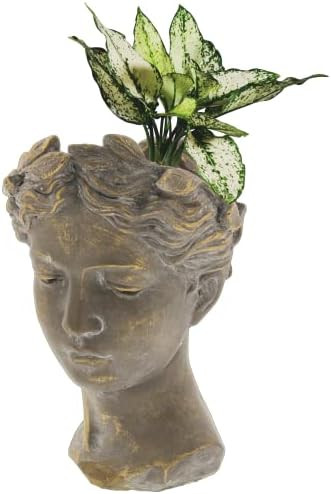 Amazon.com : Lucky Winner Greek/Roman Style Female Statue Head Cement Planter (10.5") : Patio, La... | Amazon (US)