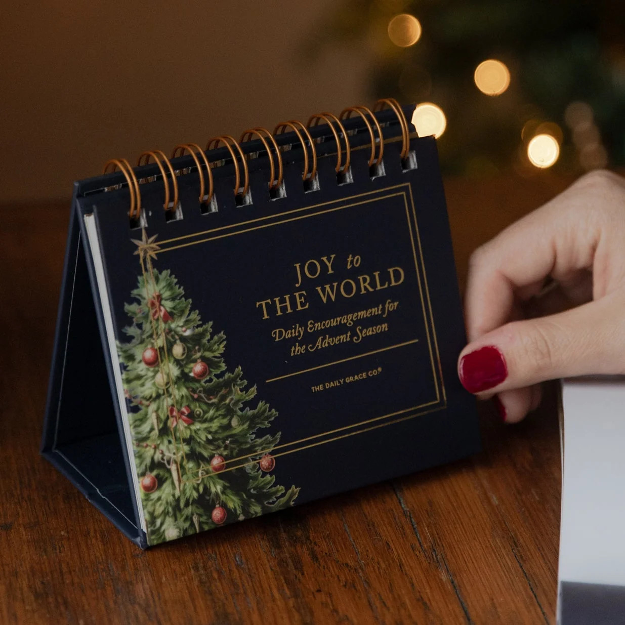 Joy to the World | Daily Encouragement for the Advent Season | The Daily Grace Co.