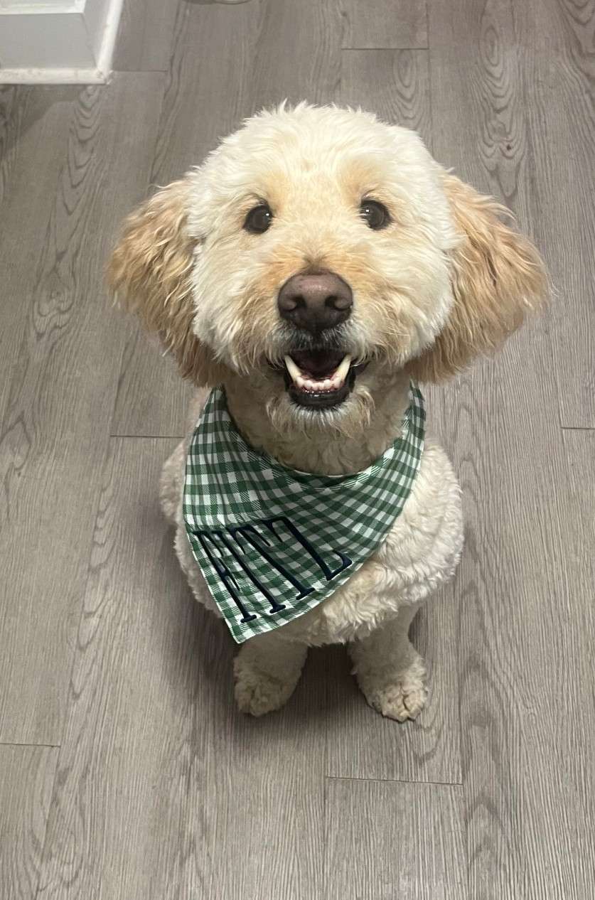 The sweetest customer🐾

#LTKHome #LTKSeasonal #LTKU