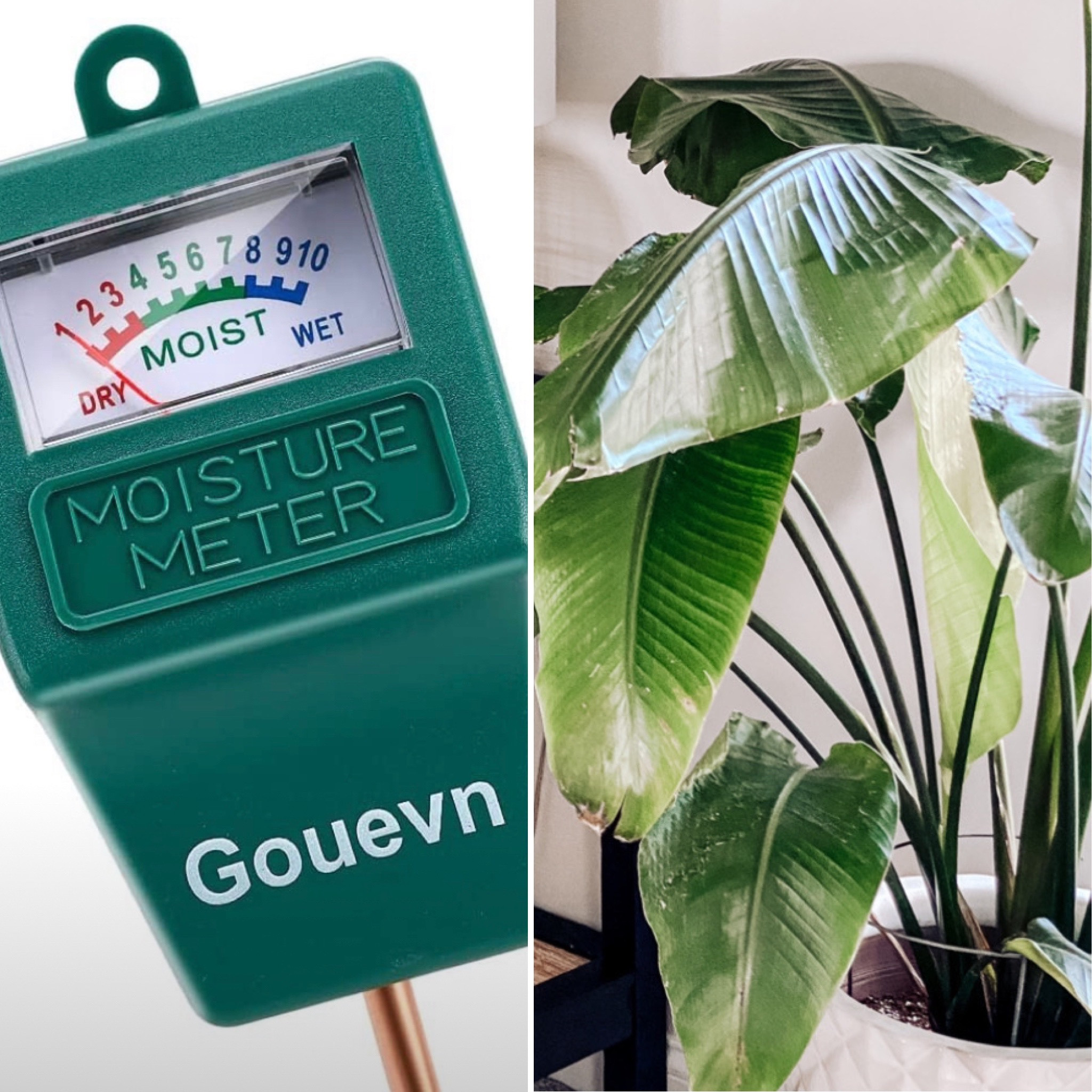 Gouevn Soil Moisture Meter, Plant Moisture Meter Indoor & Outdoor, Hygrometer Moisture Sensor Soil Tester Plant Water Meter for Potted Plants