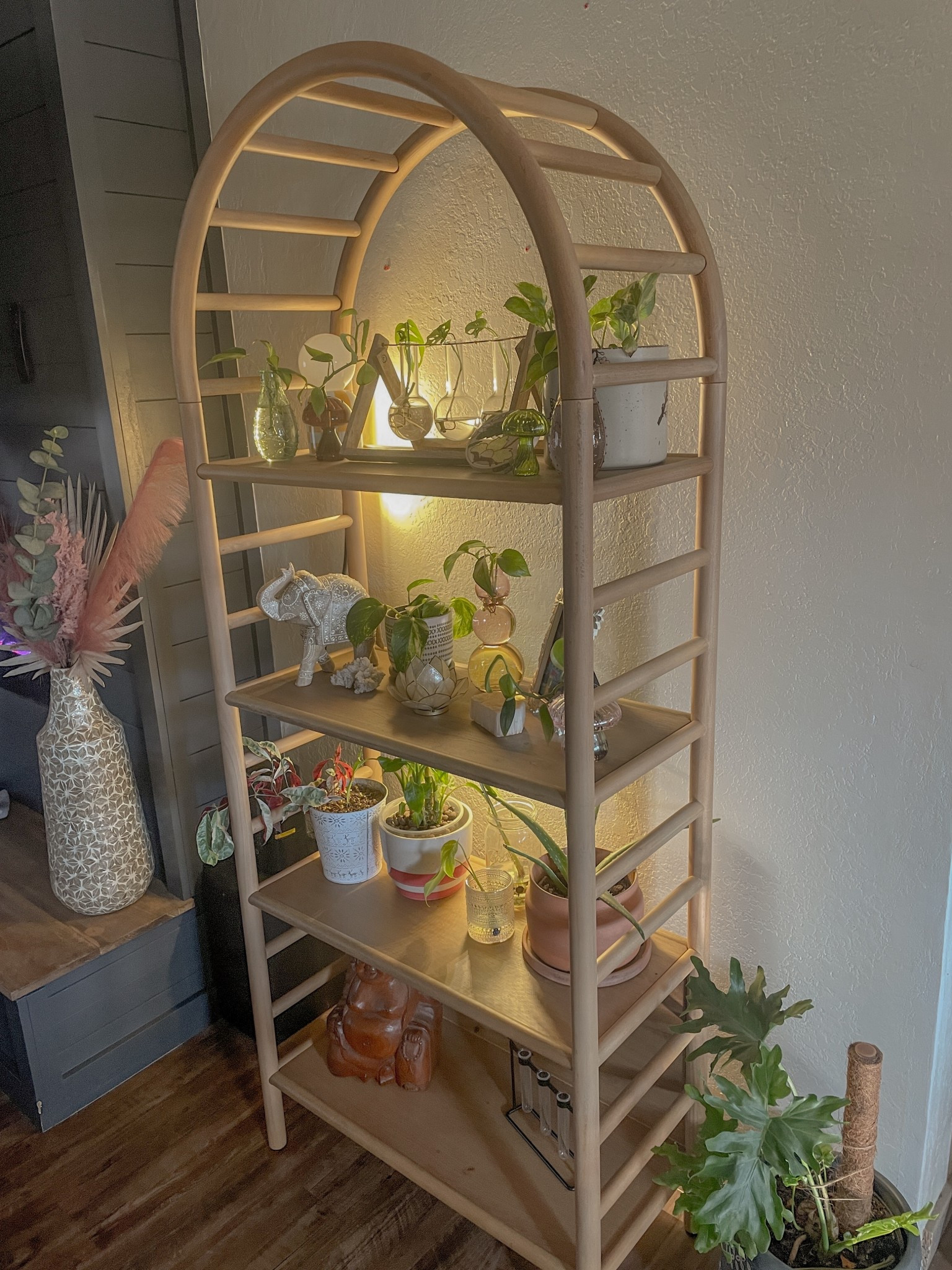 Shop my shelf and propagation decor 🪴💓 #homedecor #shelf #boho

#LTKHome