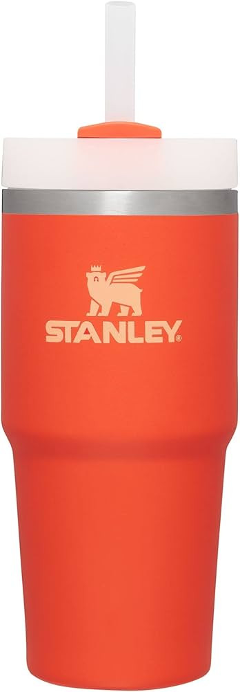 Stanley Quencher H2.0 FlowState Stainless Steel Vacuum Insulated Tumbler with Lid and Straw for W... | Amazon (US)