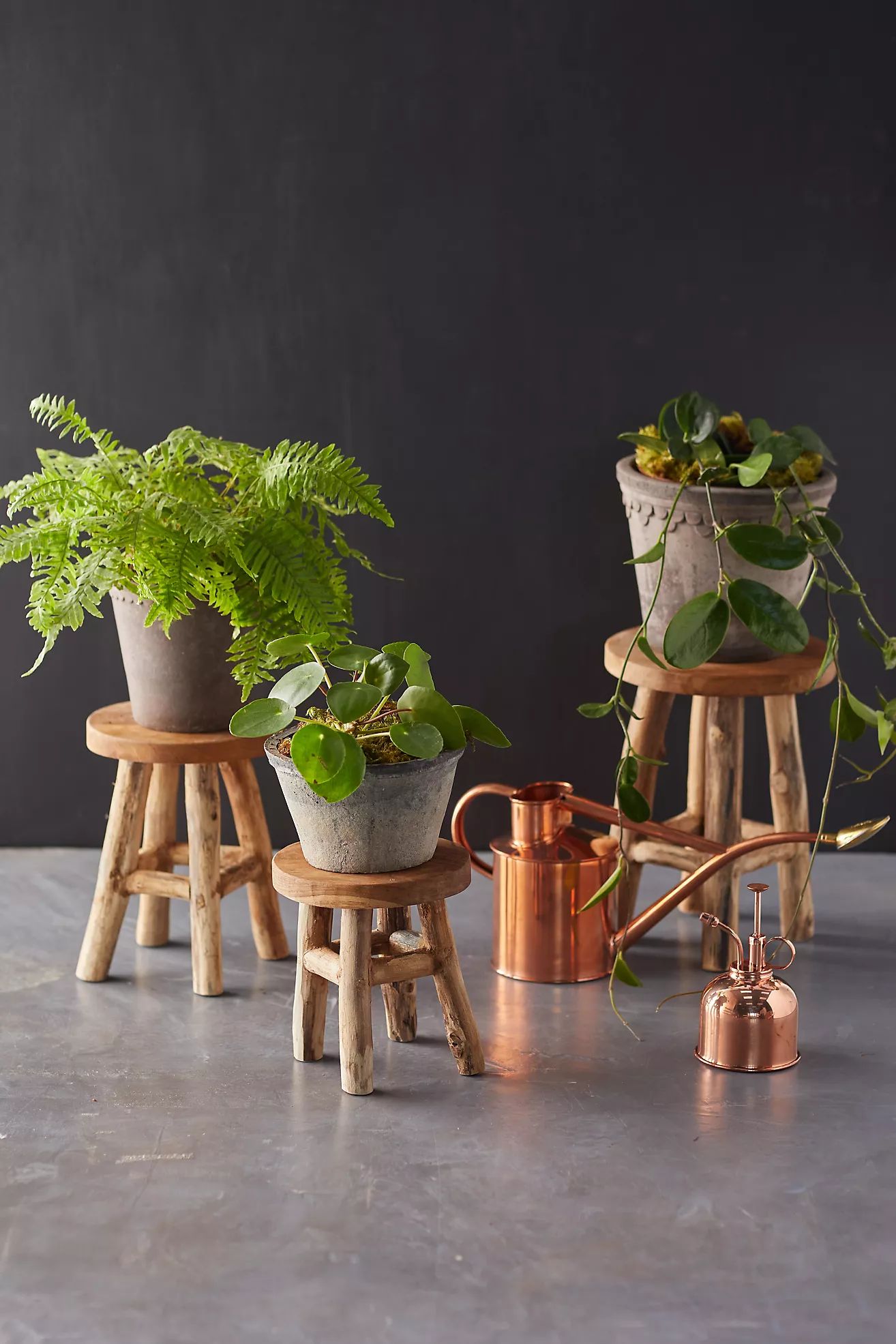 Teak Plant Stand, Tall | Anthropologie (US)