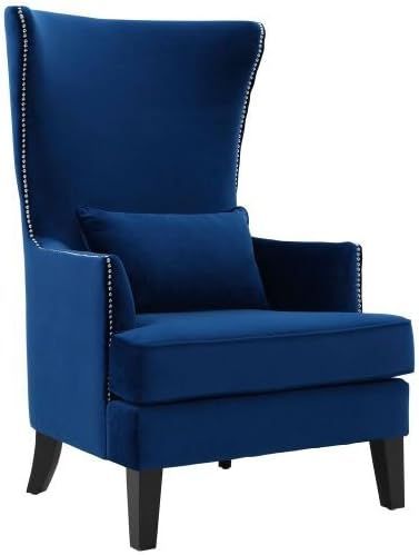Tov Furniture The Bristol Collection Contemporary Velvet Upholstered Tall Living Room Parlor Chai... | Amazon (US)