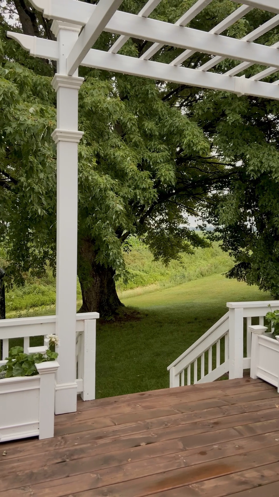 These all-weather outdoor pieces completely elevated our back deck. A pergola just changes the whole vibe.🤍

#LTKcanada #LTKhome