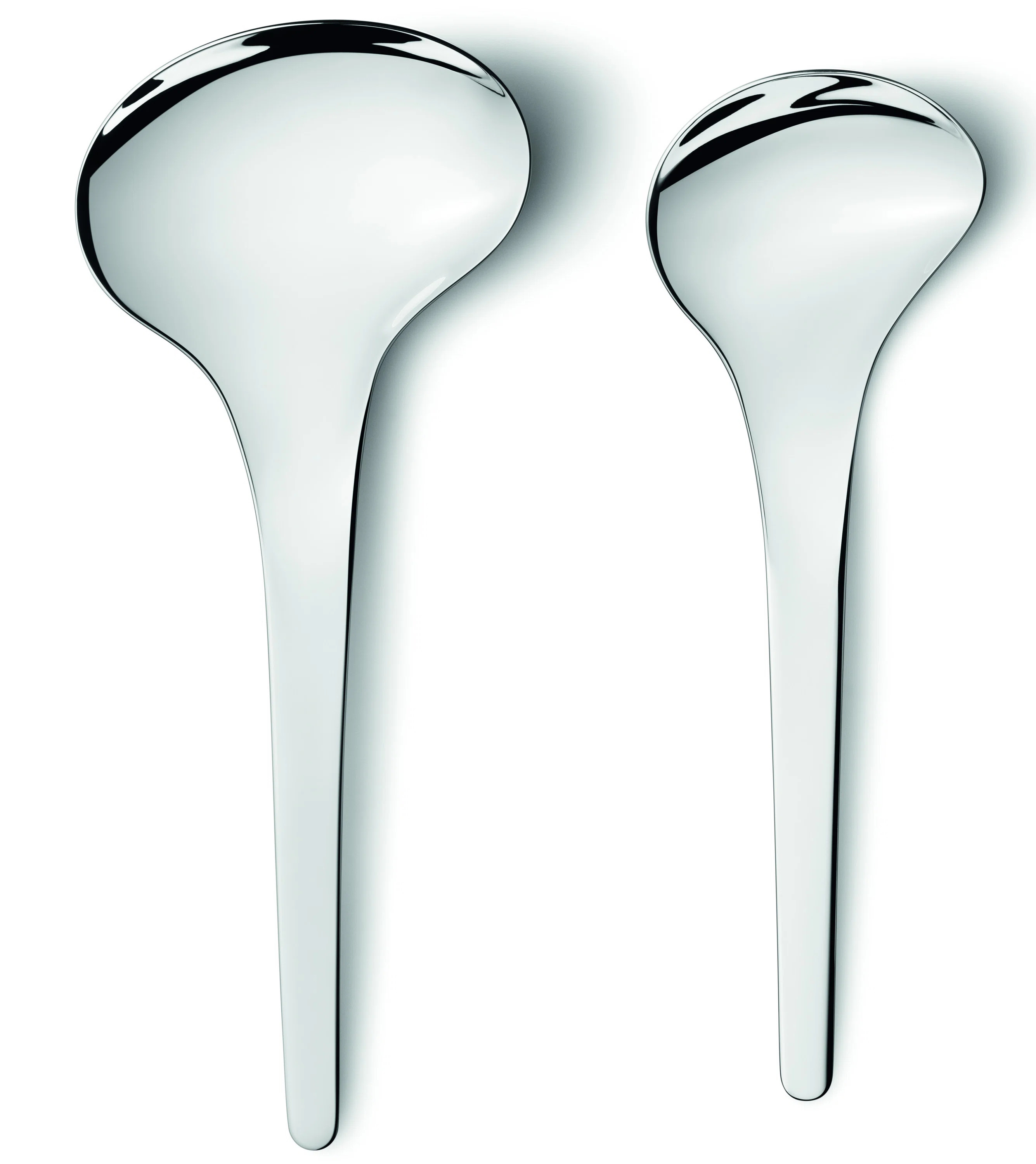 Bloom 2 Piece Serving Spoon Set (Set of 2) | Perigold