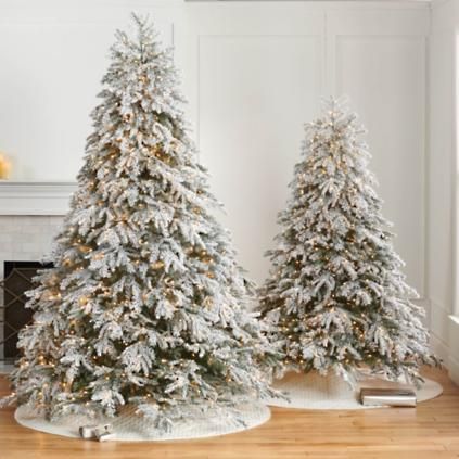 Frosted Canterbury Fir Tree | Frontgate | Frontgate