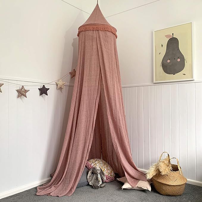 Amazon.com: Zeke and Zoey Hanging Dusty Dirty Pink Princess Canopy for Girls Bed with Tassels - H... | Amazon (US)