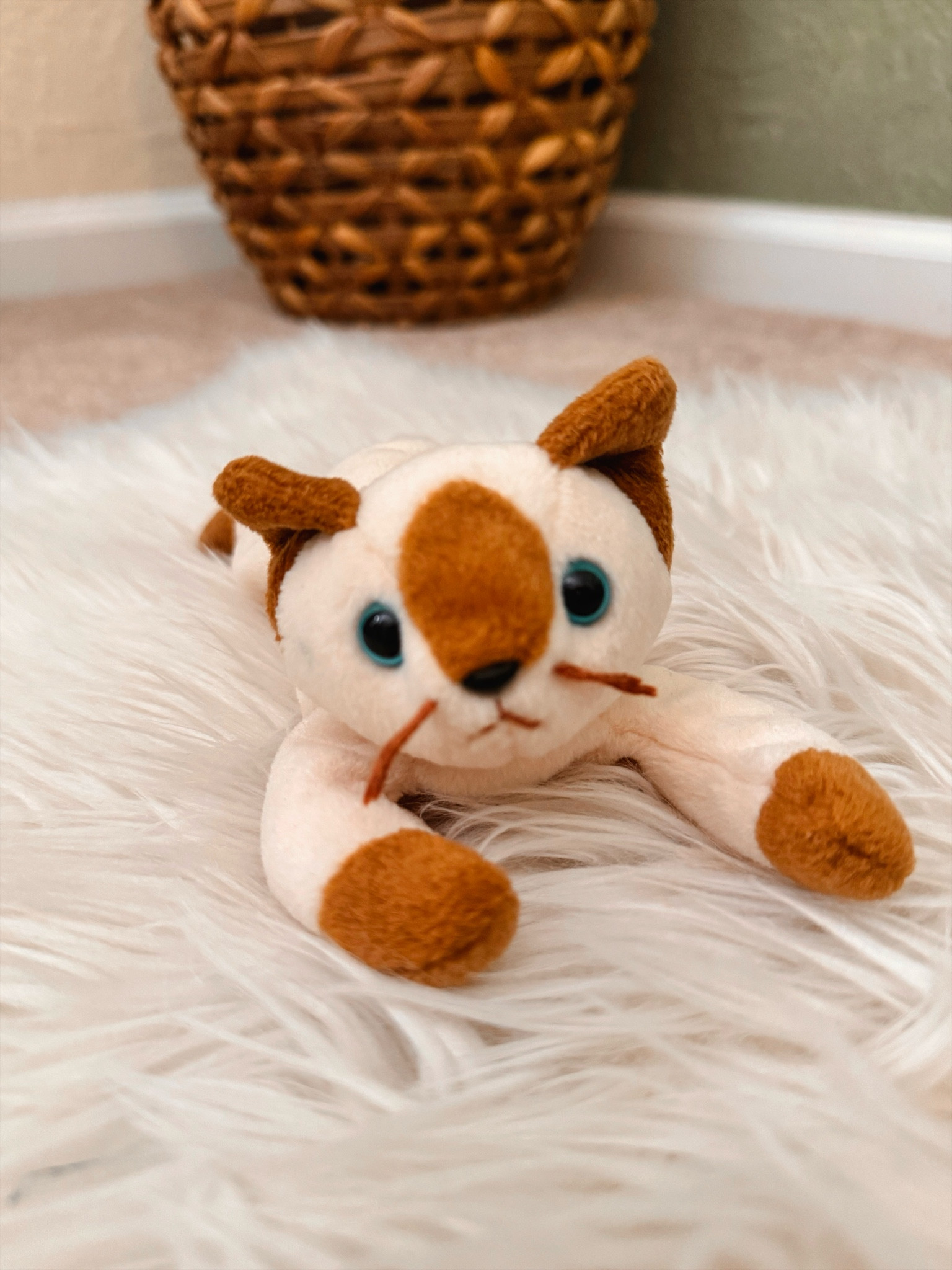 TY Beanie Baby - this cutie is Snip the Cat! 

#LTKKids #LTKFamily #LTKBaby