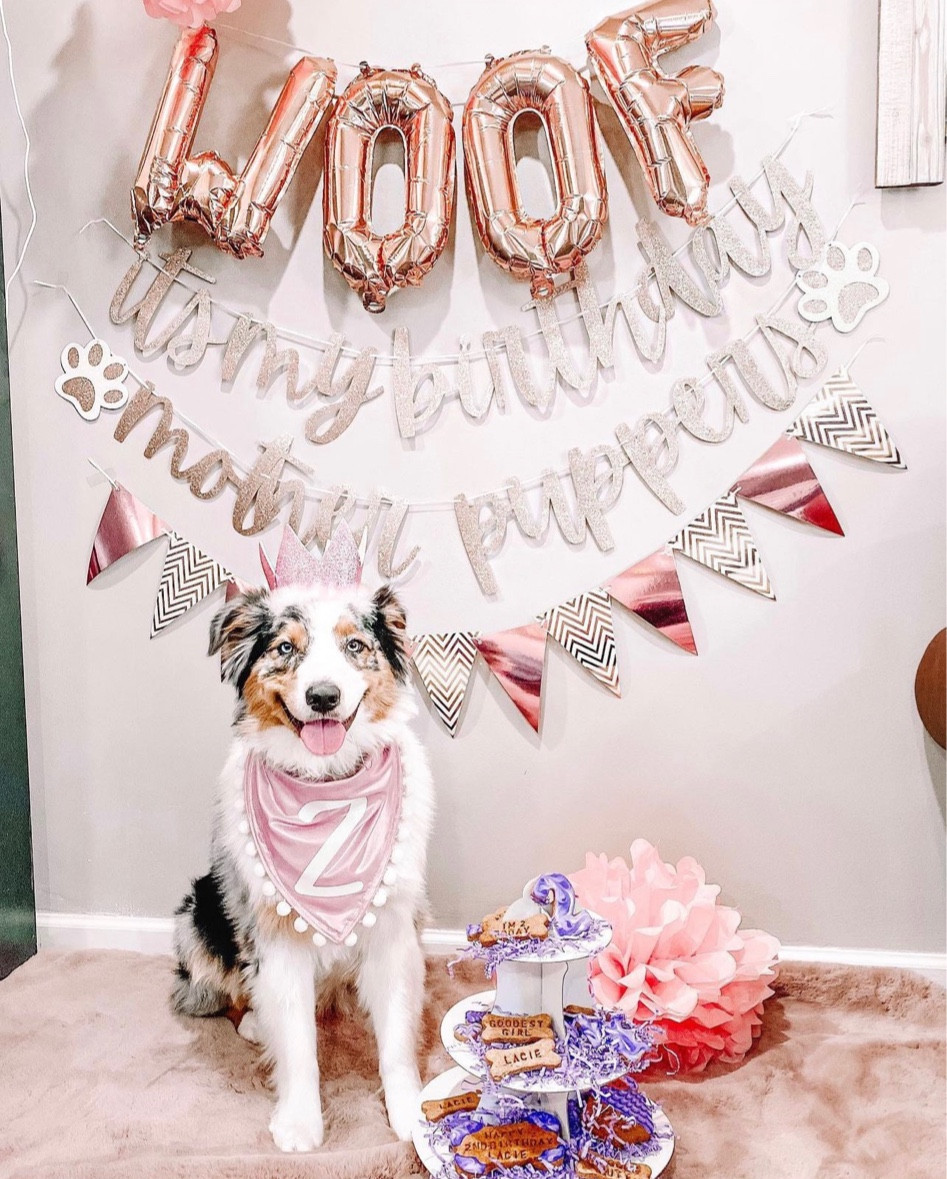 rose gold decor for lacie’s birthday!

#LTKfamily #LTKFind #LTKhome