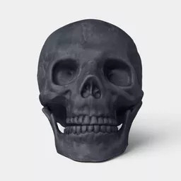 6" Medium Skull Halloween Decorative Prop Black Terra Cotta - Hyde and EEK! Boutique\u2122 | Target