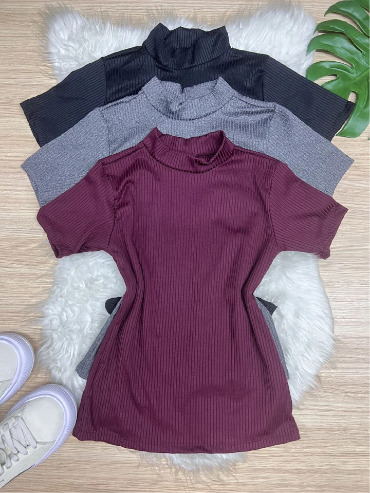 Kit 3 Blusinha Gola Alta Manga Curta Feminina Camiseta Canelada Moda | SHEIN