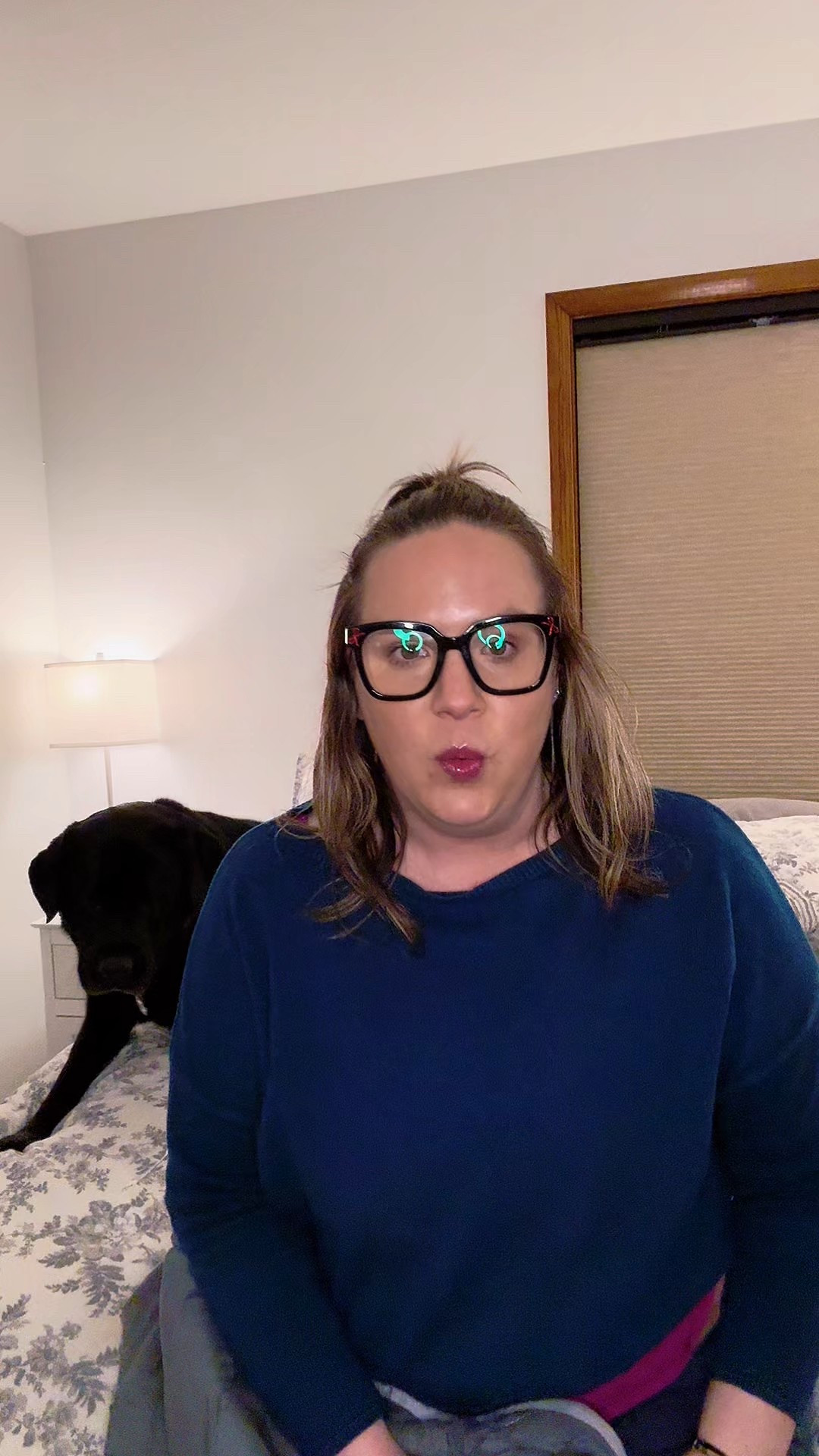 ViscoSoft Microfiber All Seasons Down Alternative Quilted Comforter - Cooling Breathable Premium Soft Reversible Microfiber Duvet Blanket

#LTKHome