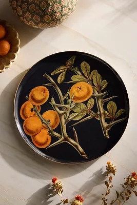 Printed Archival Tray, Round | Anthropologie (US)