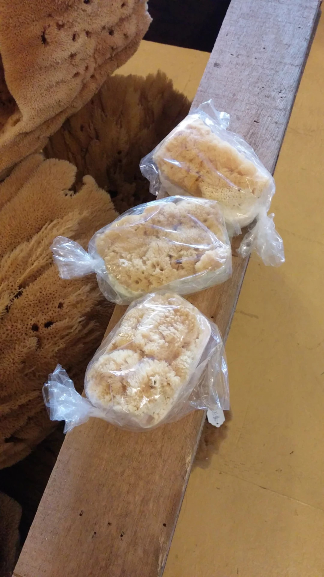 BEST SELLER! Goats Milk Soap With Natural Sea Sponge - Etsy | Etsy (US)