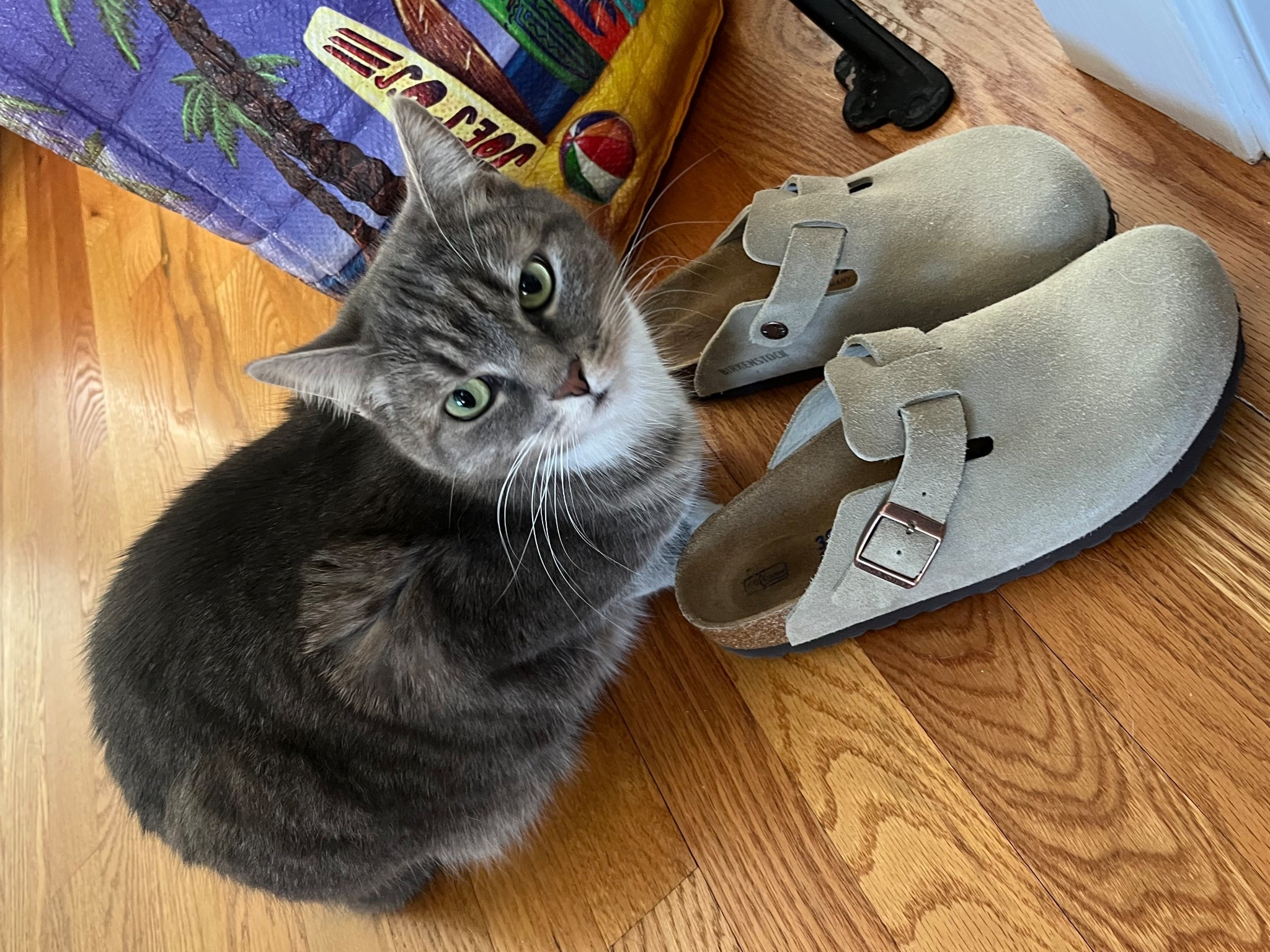 Birkenstock Boston Clogs are Clove approved! 😻

These are my go-to winter shoes when I want something to easily slip on! If you’re looking to treat yourself with some post-Christmas shopping or have a gift card to use, I highly recommend these! 

