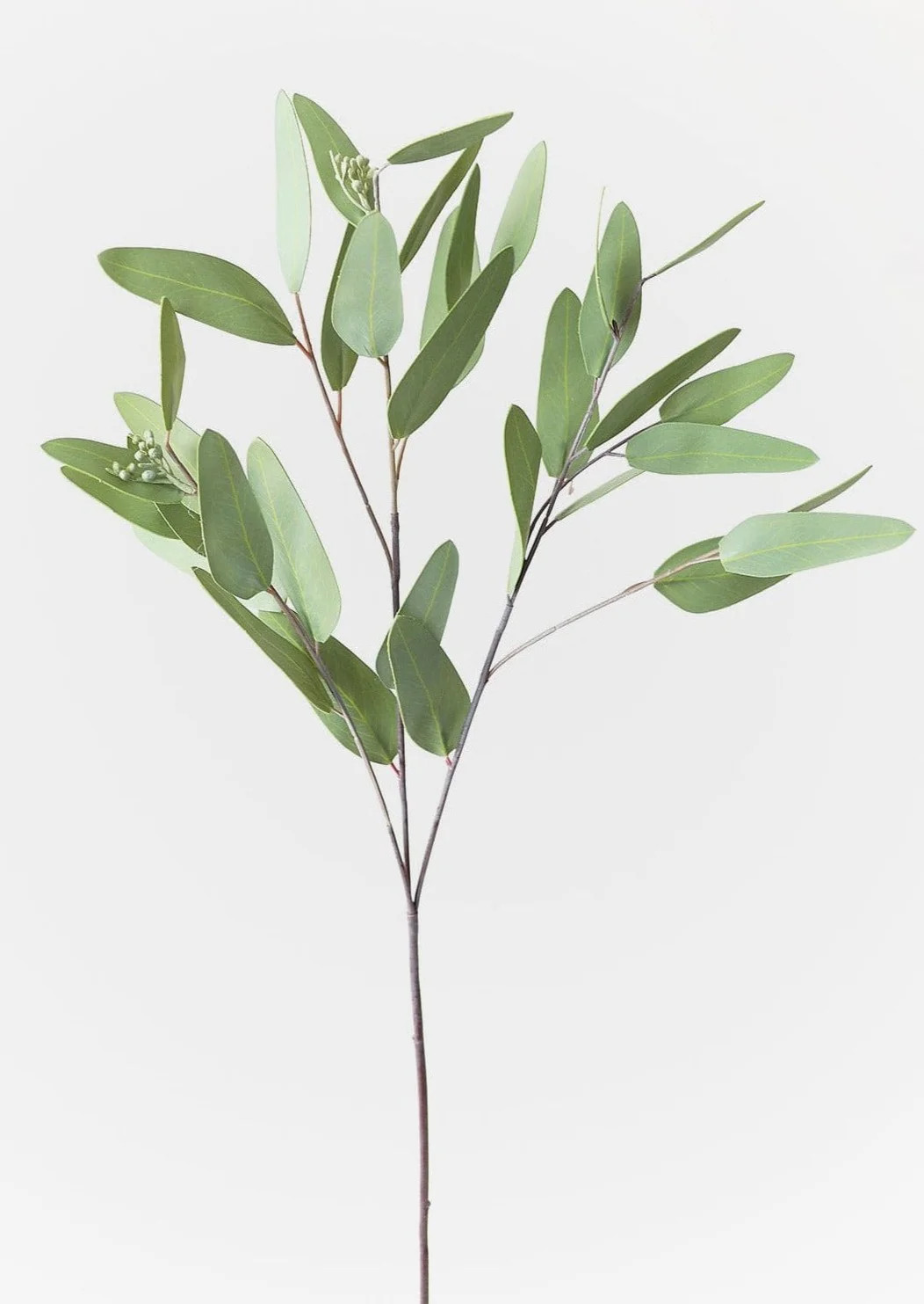 Faux Real Touch Eucalyptus Branch - 31" Tall | Afloral (US)