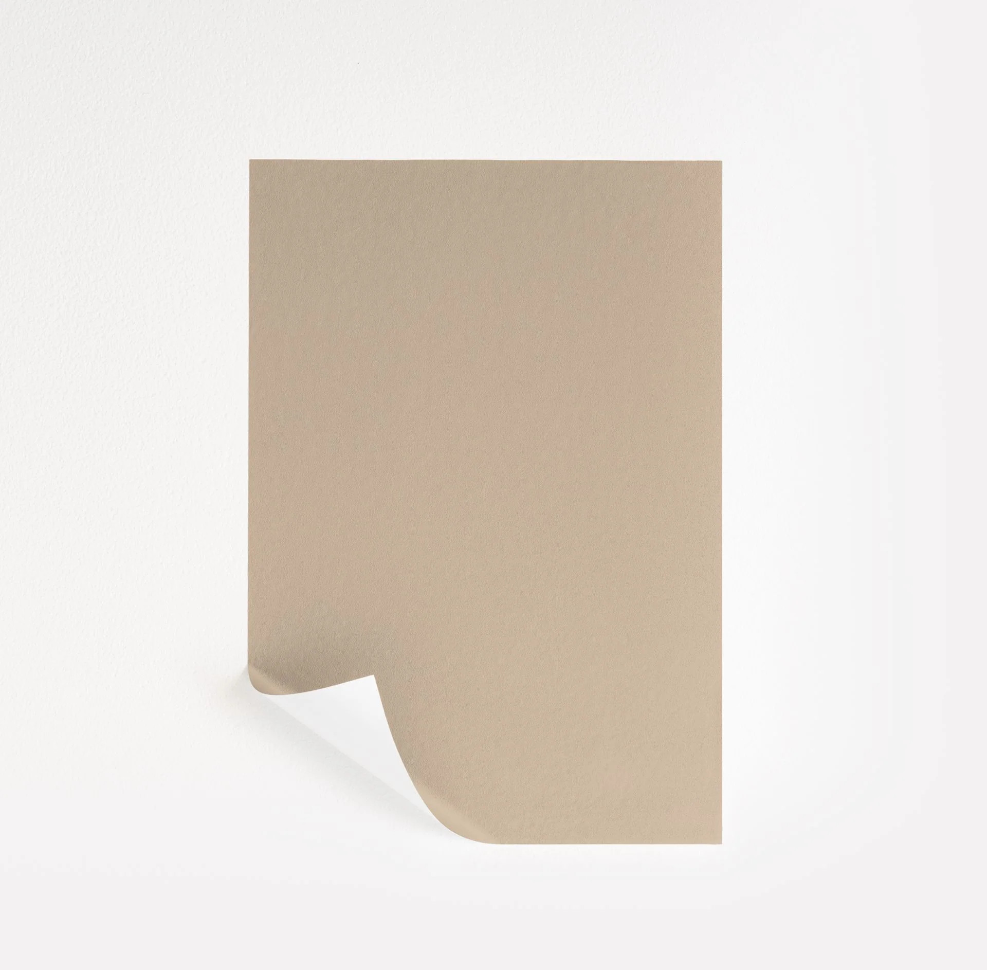 Bradstreet Beige  Paint Sample | Samplize