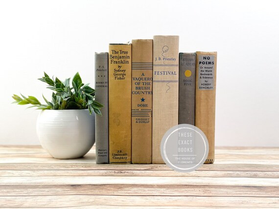 Set of Books Books for Decorating Books by Color | Etsy | Etsy (US)