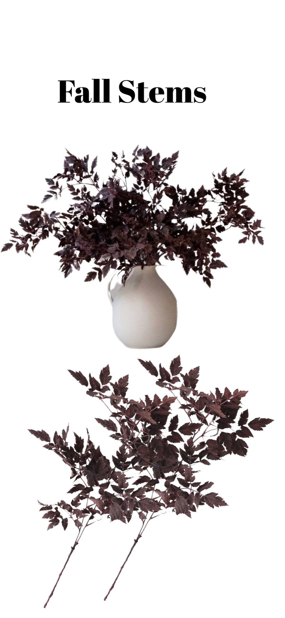 Fall stems 

#LTKSeasonal #LTKhome