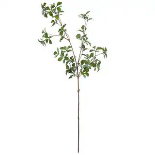 Mini Ficus Leaf Stem by Ashland® | Michaels | Michaels Stores