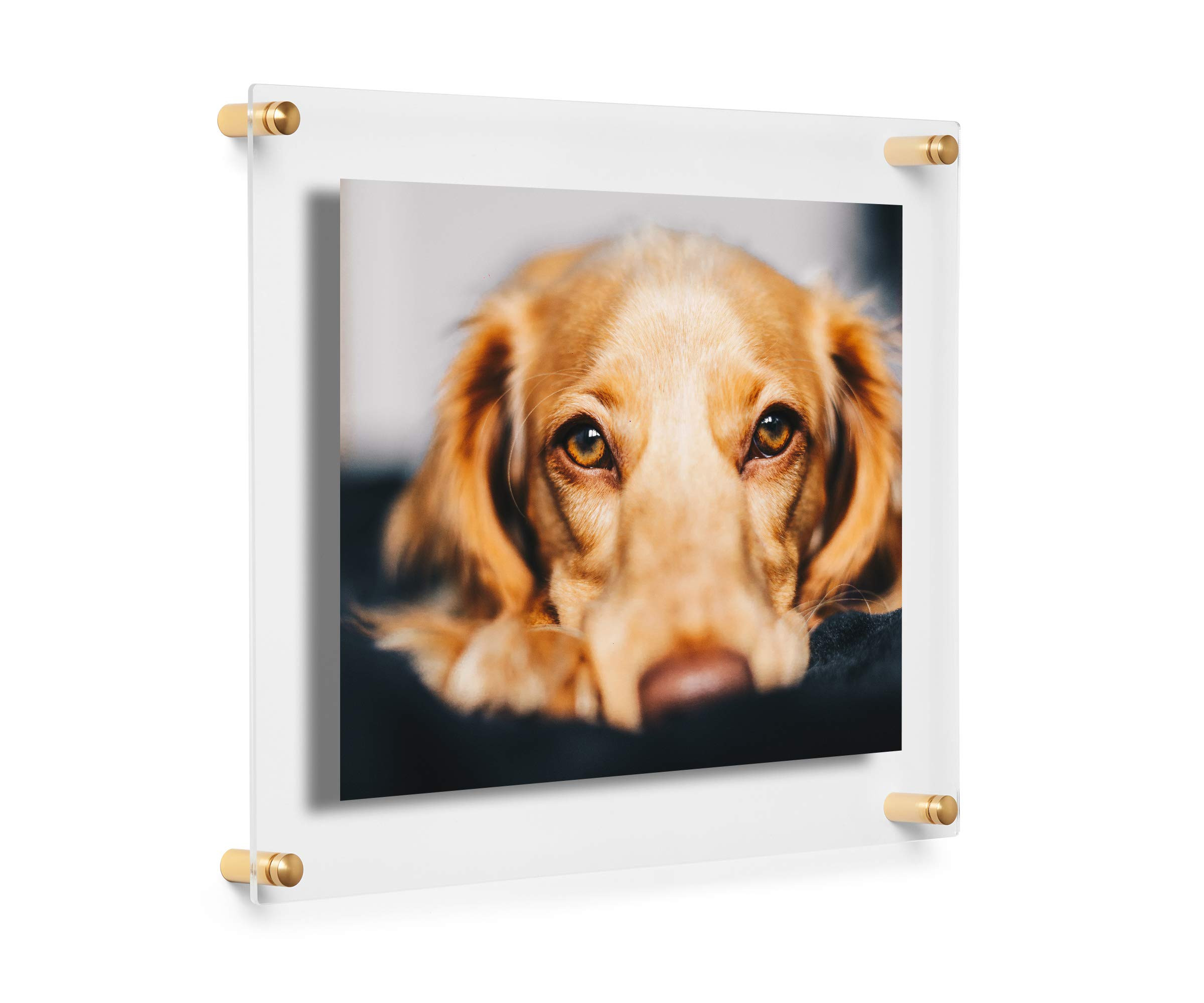 COOL MODERN FRAMES 16x20" Clear Double Panel Floating Acrylic Picture Frame Display with Gold Har... | Amazon (US)