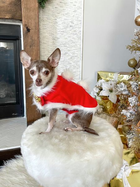 The cutest Christmas pet coat!

Christmas outfit, dog clothes, dog sweater 

#LTKHoliday #LTKSeasonal #LTKfamily
