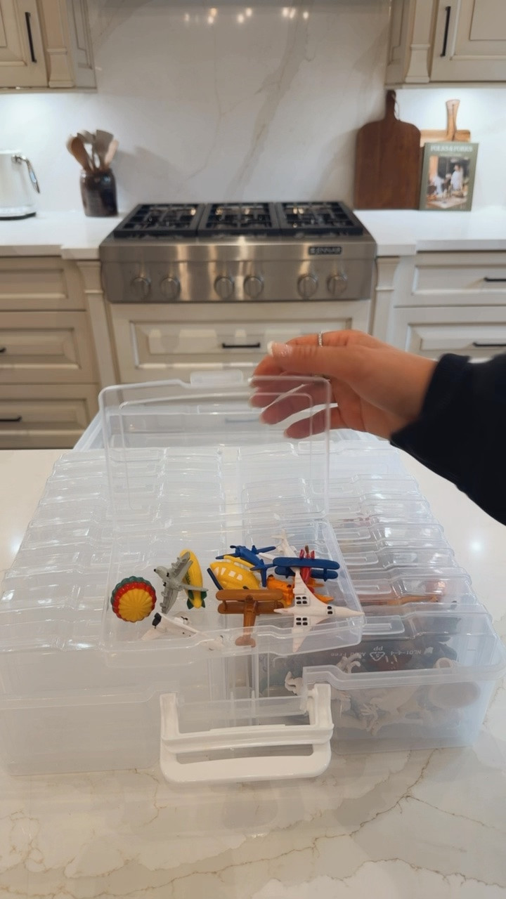 Storage hacks
Toy organization 
Toob stem learning 
Kids activities 
Homeschool

#LTKsummer #LTKfamily #LTKkids