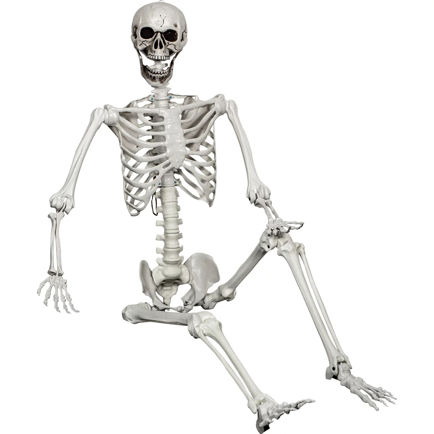 Halloween Posable Skeleton Realistic Life Size Human Skeleton Bones with Movable Joints for Hallo... | Walmart (US)