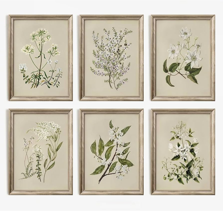 Vintage Botanical Wall Art Set of 6 Neutral Floral Canvas Wall Decor Wildflower Wall Art Watercol... | Amazon (US)