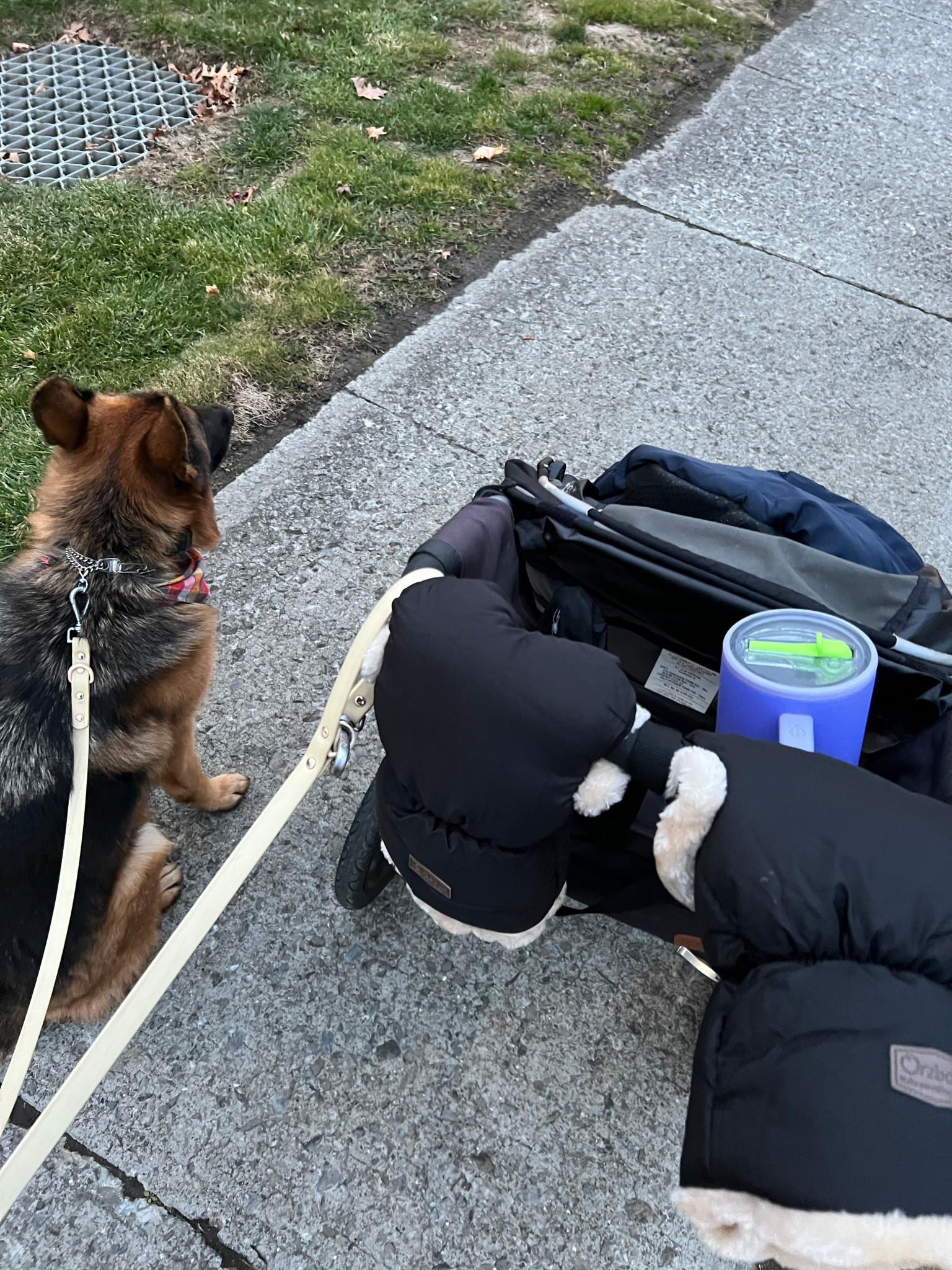 Winter is here and stroller mittens are a must. I wish i had them last winter 

#LTKBaby #LTKTravel #LTKSaleAlert