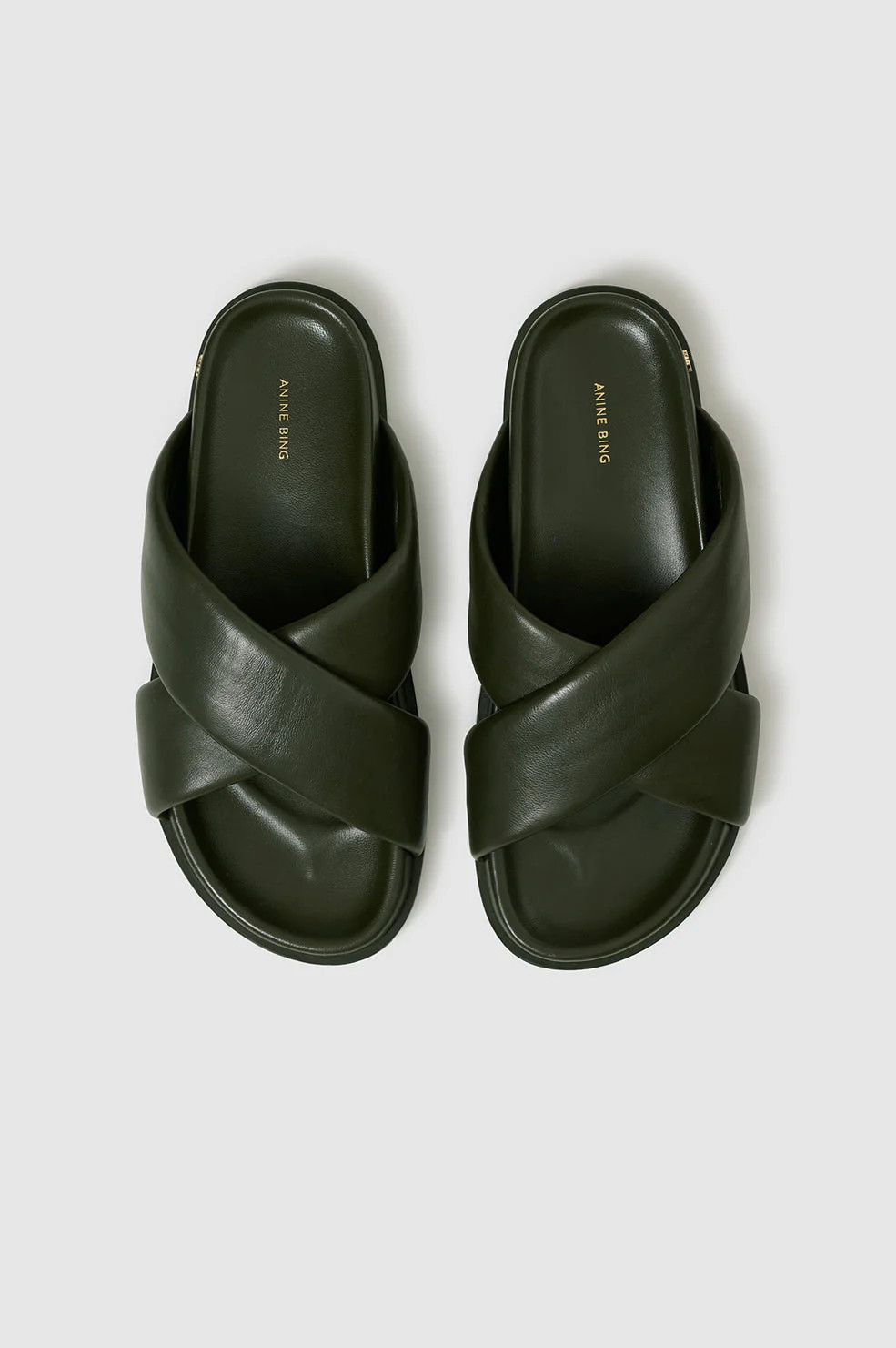 Emi Slides - Olive | Anine Bing