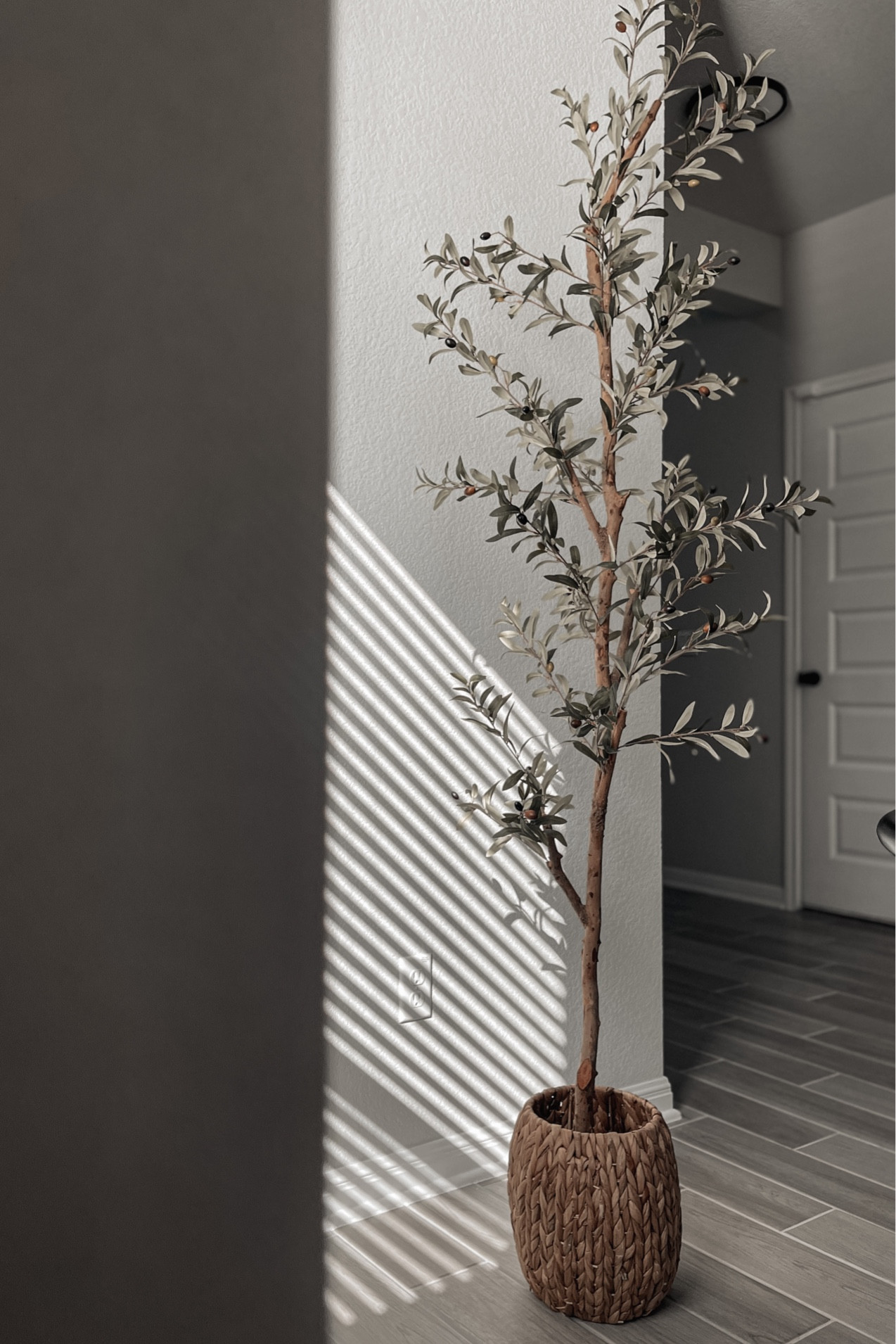 82” Artificial silk olive tree , looks real and has a perfect quality #olivetree #homedecor #minimalism

#LTKFind #LTKhome