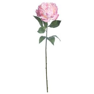 Pink Ombre Peony Stem by Ashland® | Michaels Stores