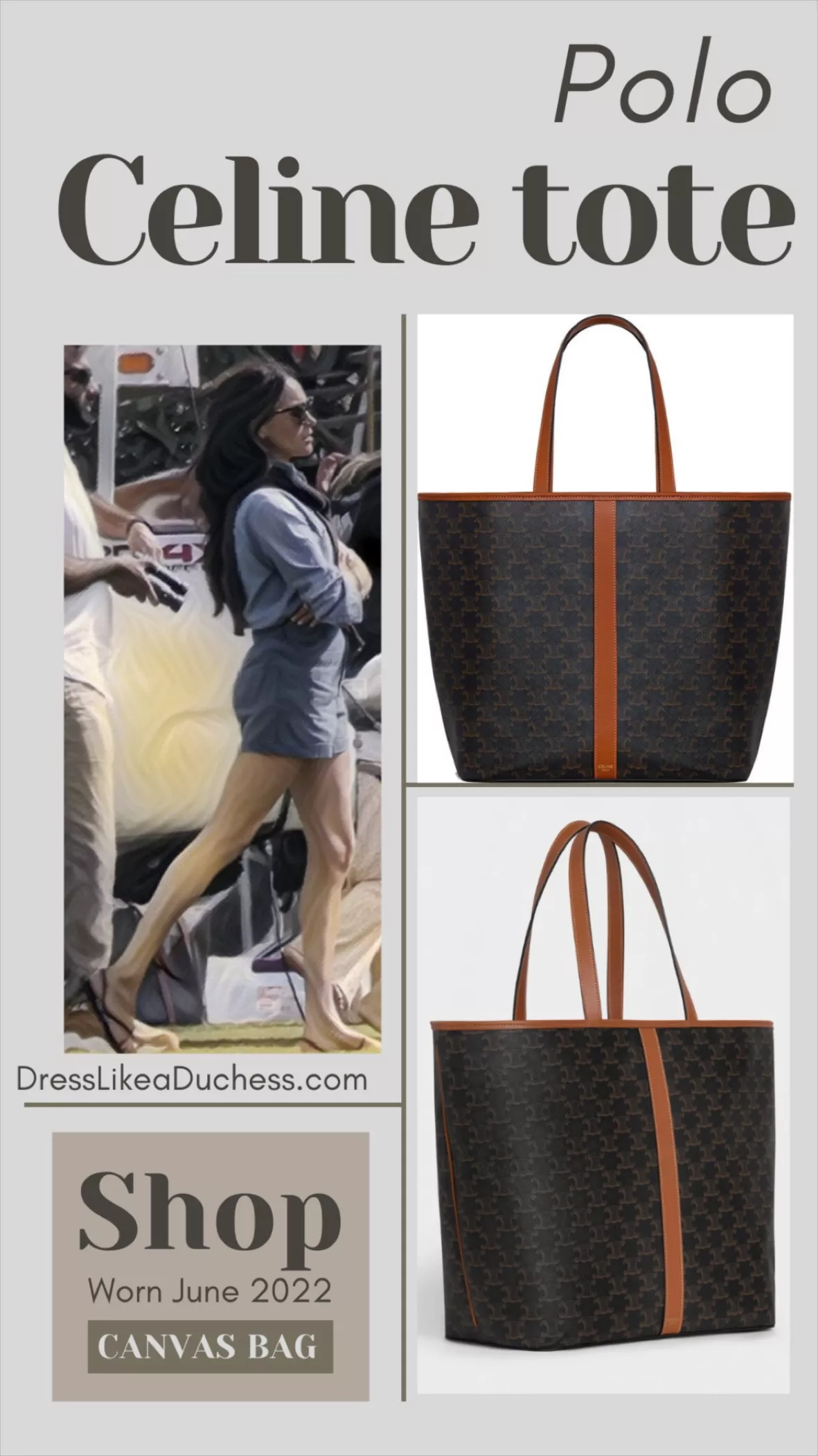 Celine Medium Cabas Tote Bag In Triomphe Canvas - Meghan Markle's Handbags  - Meghan's Fashion