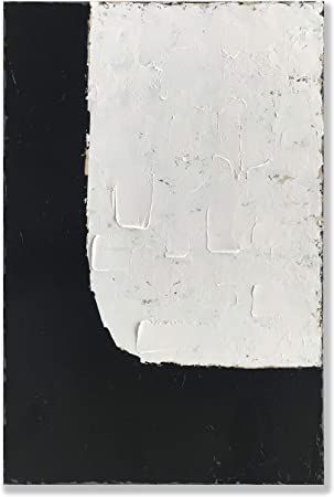 zoinart Black and White Canvas Wall Art 24x36 inch Minimalism Abstract Oil Painting on Canvs Vert... | Amazon (US)