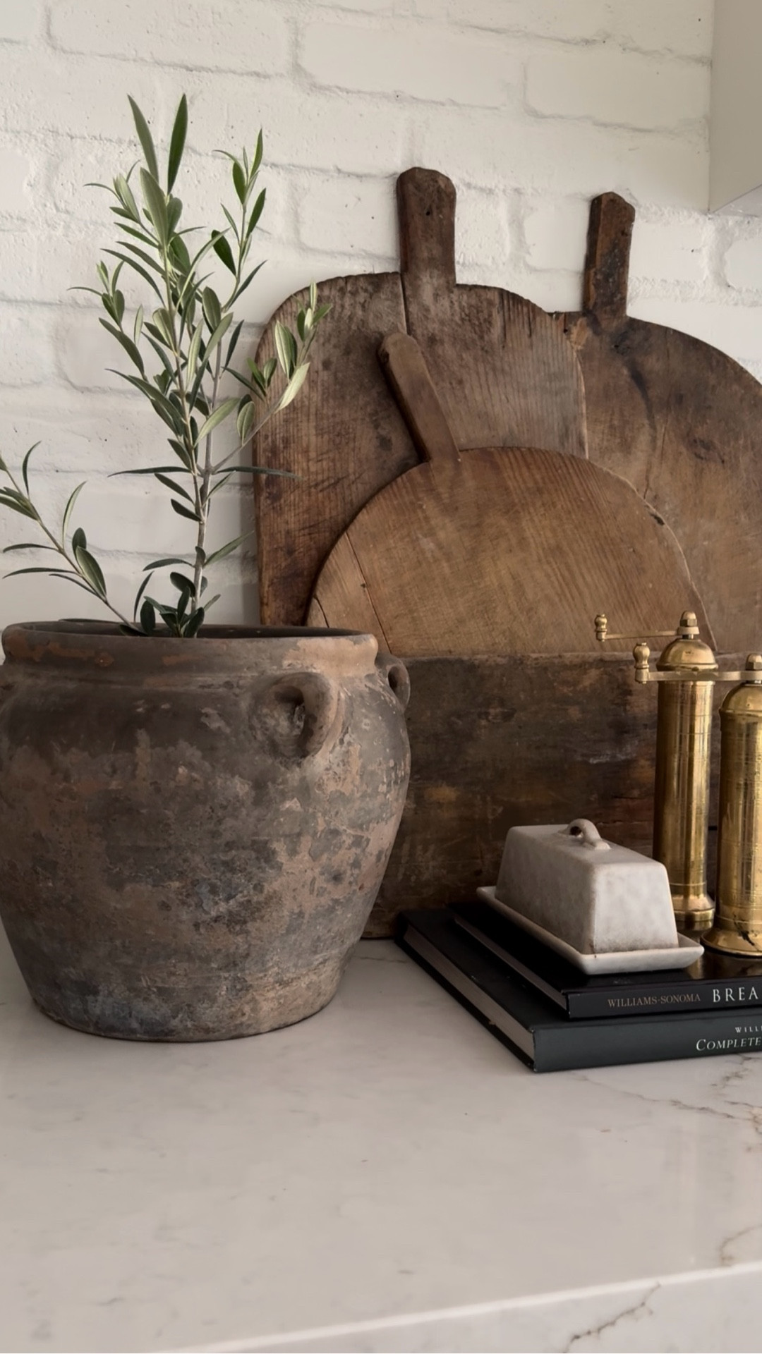 Mini olive trees are baaaaack!🫒

#LTKHome