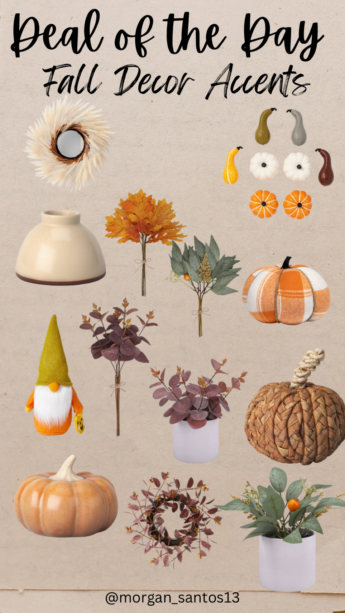 Fall Decor Accents under $10

#LTKSeasonal #LTKhome