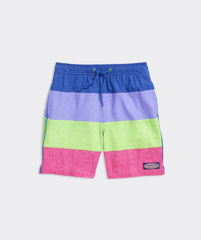 Boys' Paneled Chappy Trunks | vineyard vines