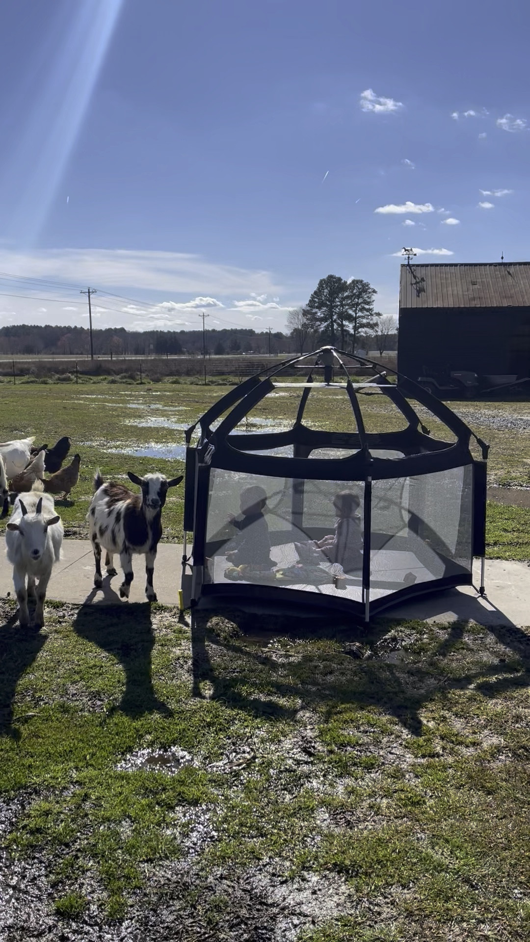 This pop up play pen is seriously a life saver and makes my life so much easier with littles. I used it with Lakey and now even more with the twins. I love how fast it is to set up and take down. It comes with stakes and a sun shade so it’s great for camping, the beach, park or just your back yard! It’s on major sale right now so I had to share.

#LTKsalealert #LTKkids #LTKbaby