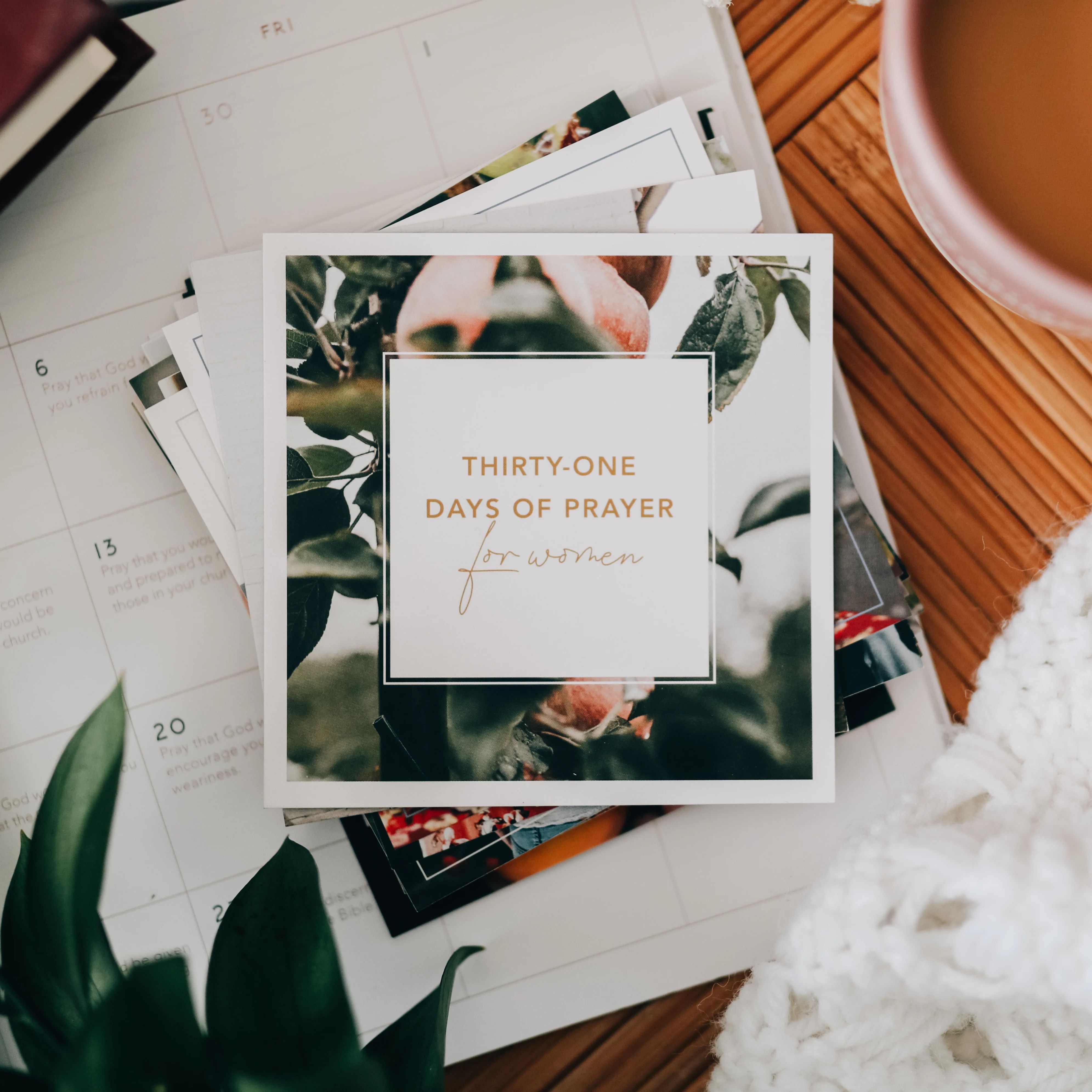 31 Days of Prayer for Women Verse Card Set | The Daily Grace Co.