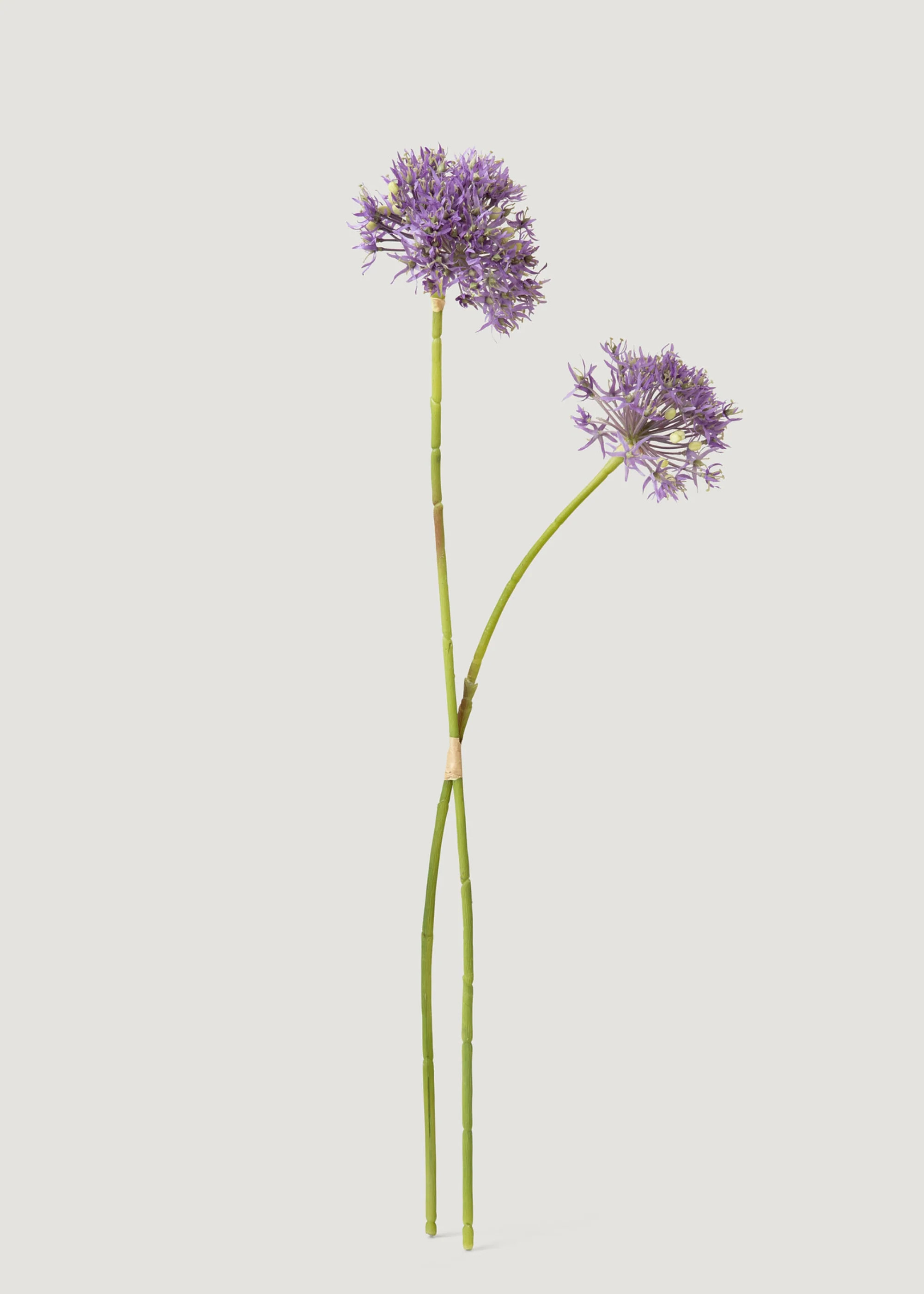 Purple Allium Flower Bundle | Artificial Wildflowers at Afloral | Afloral